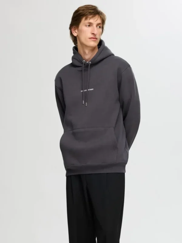 Hættetrøjer & Sweatshirts>SELECTED BRODERET HOODIE Grey