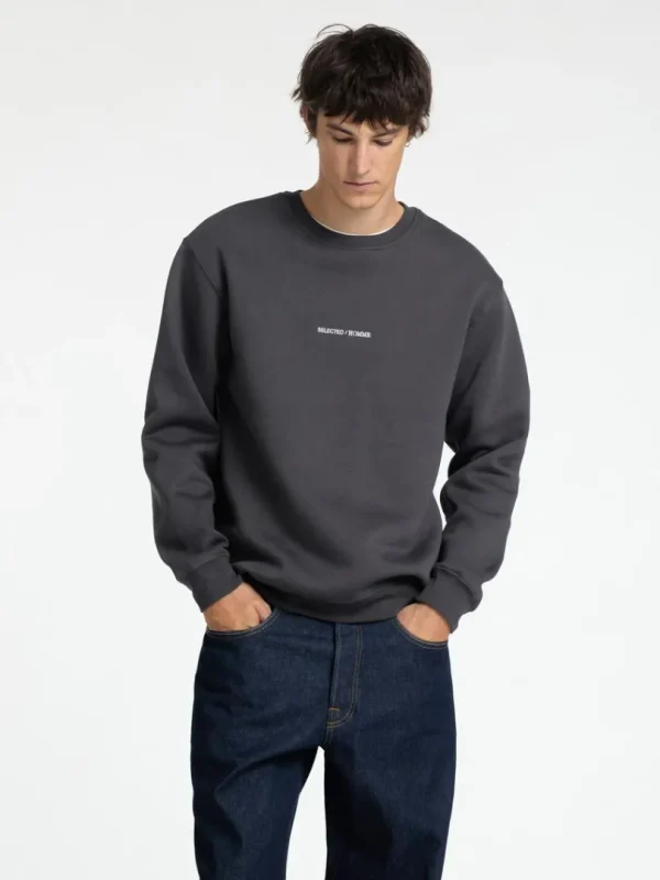 Hættetrøjer & Sweatshirts>SELECTED BRODERET SWEATSHIRT Grey