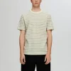T-shirts>SELECTED STRIBET T-SHIRT Green
